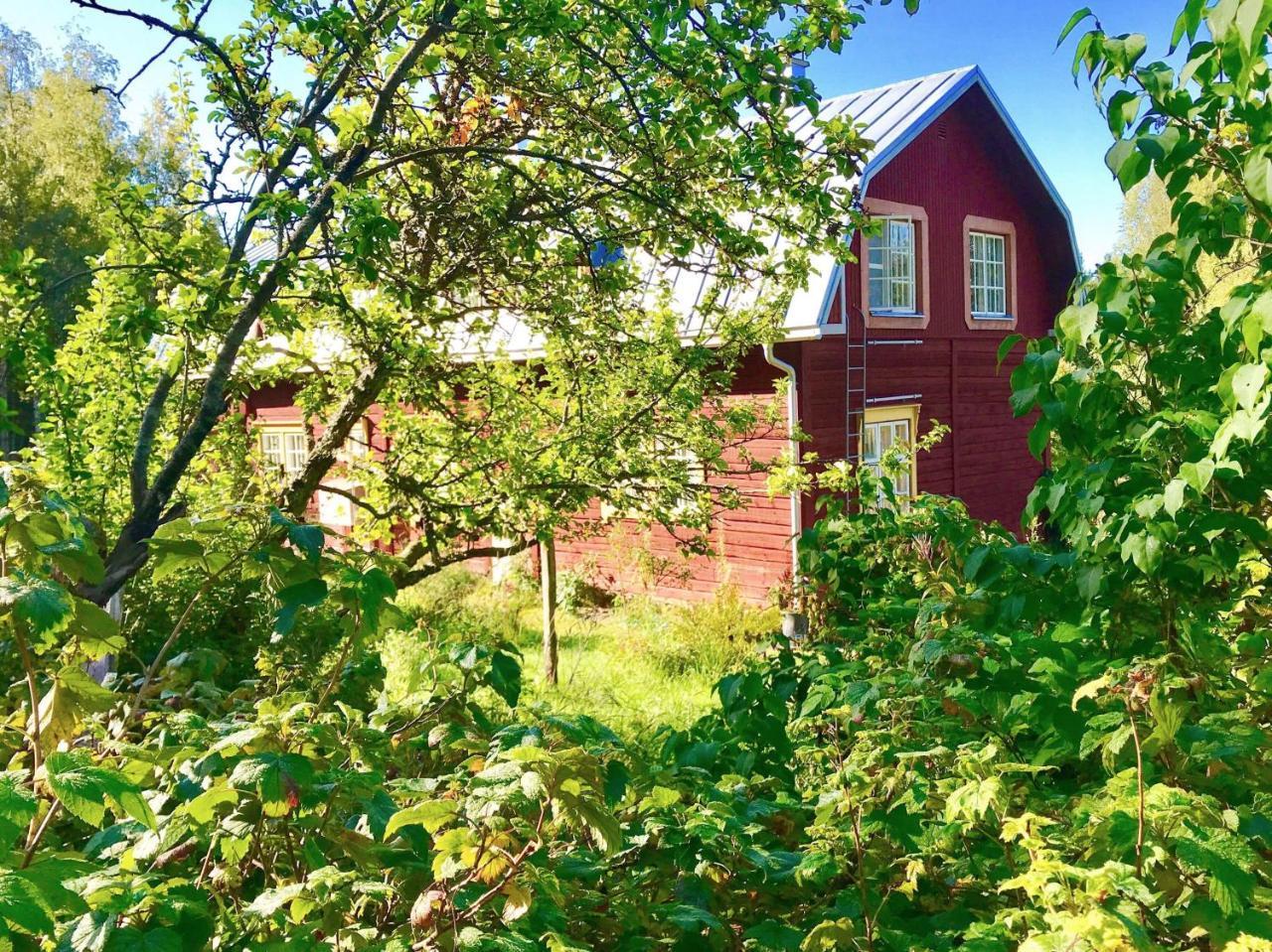 Kolin Mattila B&B Kolinkylä Εξωτερικό φωτογραφία
