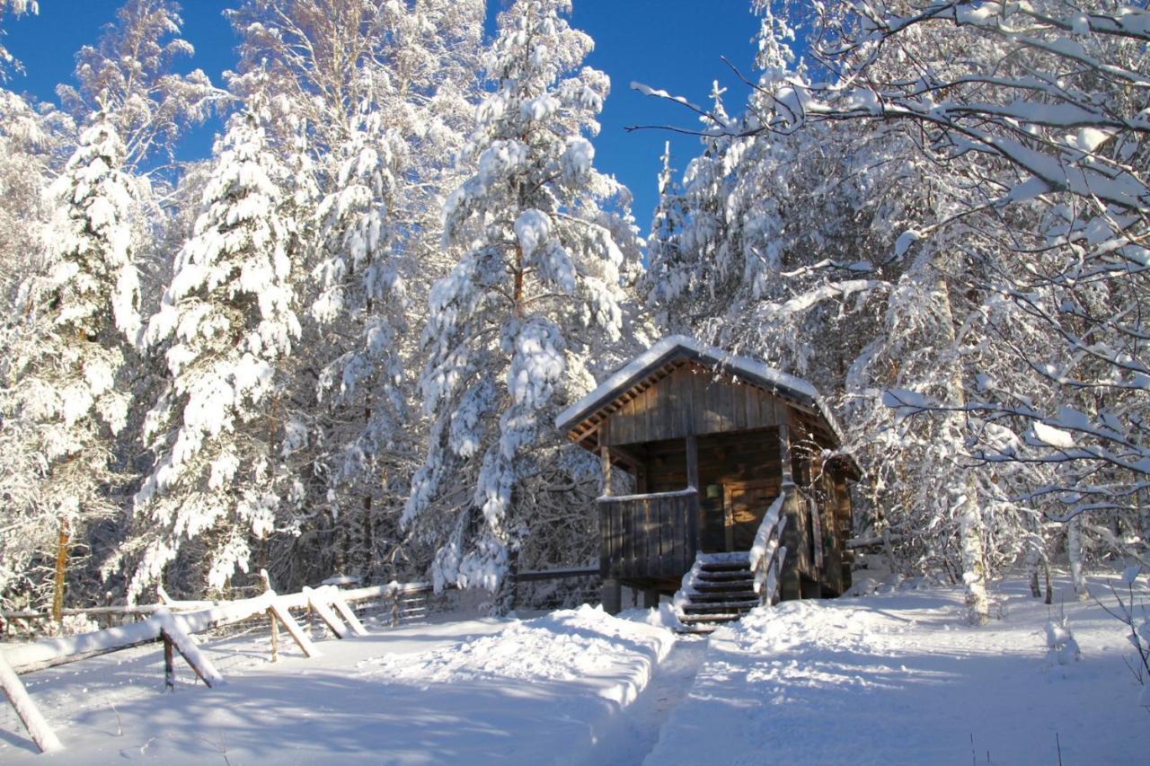 Kolin Mattila B&B Kolinkylä Εξωτερικό φωτογραφία